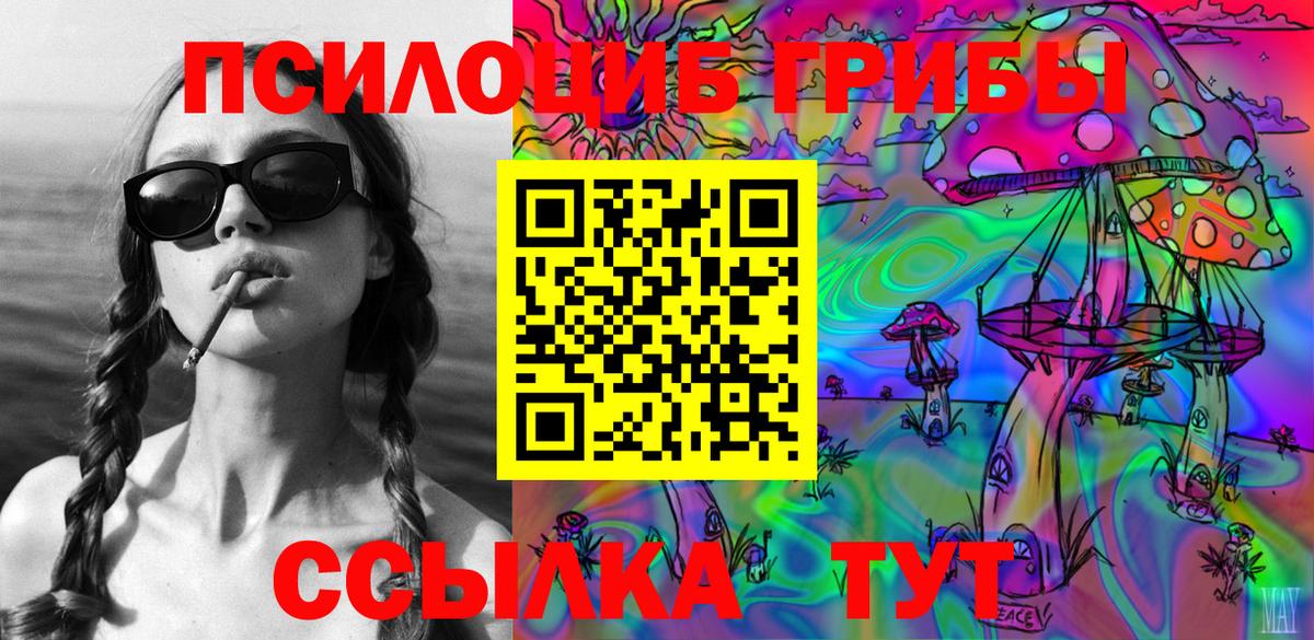 Воронеж  наркота  Псилоцибиновые грибы Cubensis  Вход с VPN  Галлюциногенные грибы Cubensis 