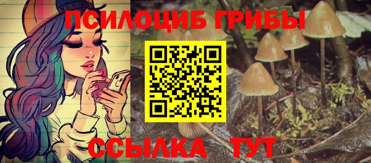 Псилоцибиновые грибы ЛСД Воронеж